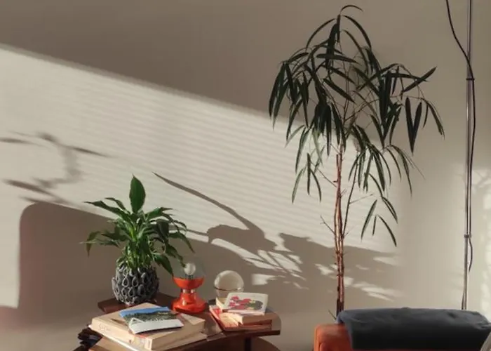 Al Tochetin * סקיו